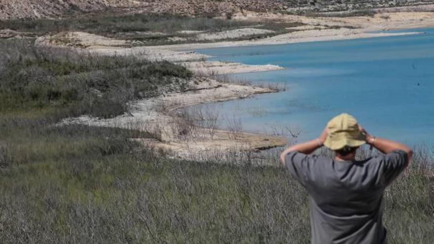 El embalse de La Pedrera recibe el agua desalada en la planta de Torrevieja que se ha quedado, de momento, sin compradores.