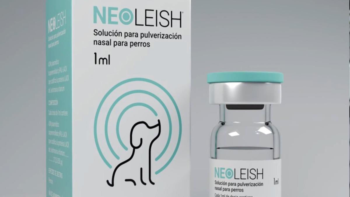 Neoleish: la primera vacuna de tecnología ADN frente a la leishmaniosis canina