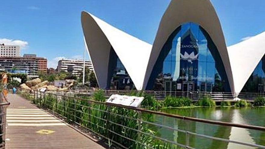 Instalaciones del mayor acuario de Europa en Valencia