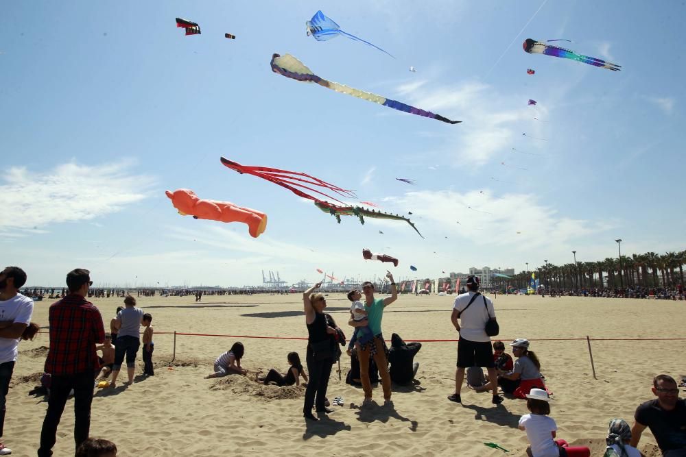 Festival del Viento 2016 en la Malva-rosa