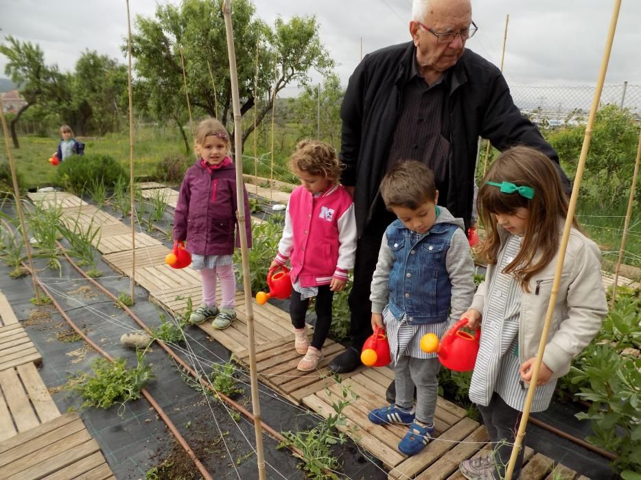 Un hort intergeneracional al pati de l'escola Paidos