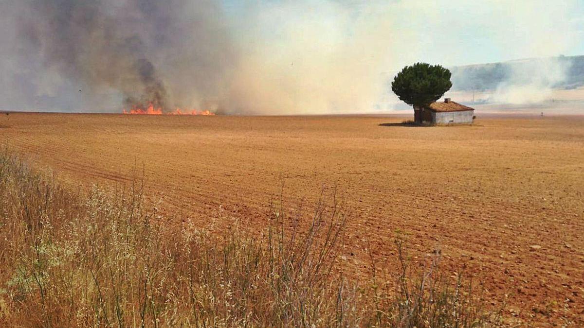 Incendio en una tierra de cereales de Morales de Toro.