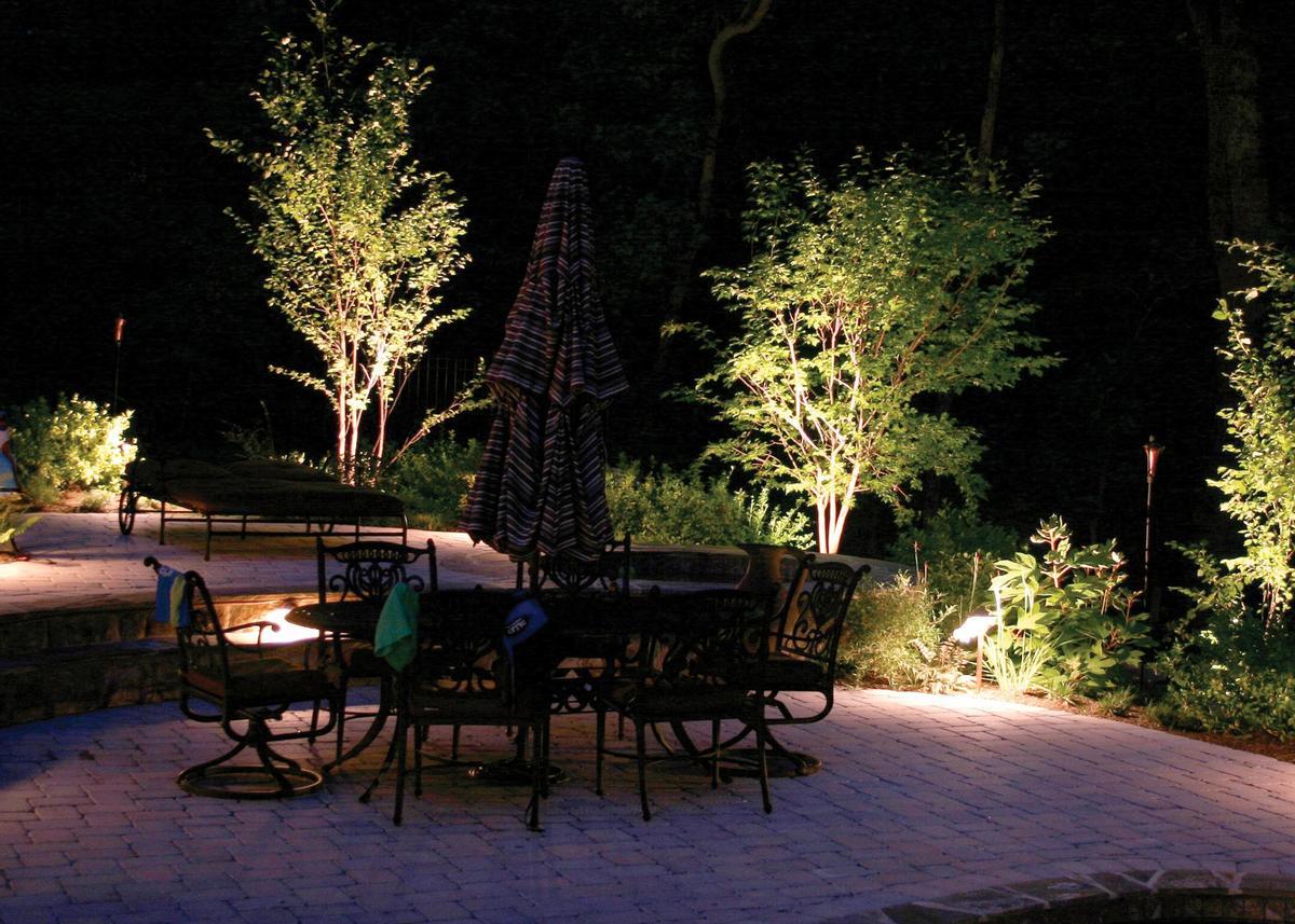 Iluminar los árboles con luz artificial perjudica a los alérgicos al polen