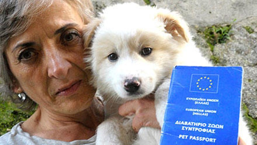 La coruñesa Laura Lizancos con &#039;Shukran&#039;, la perrita siria que logró traer desde Idomeni con su pasaporte.