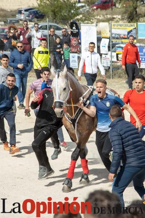 Carrera de entrenamiento de los Caballos del Vino