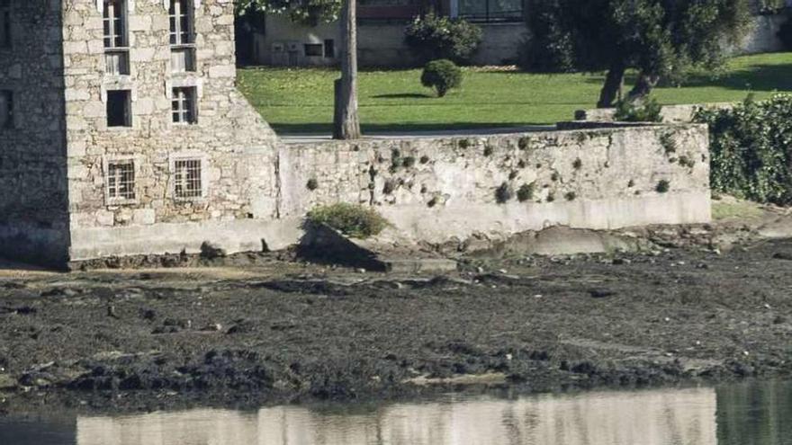 Un furtivo marisquea en la ría de O Burgo, con lodos al fondo.