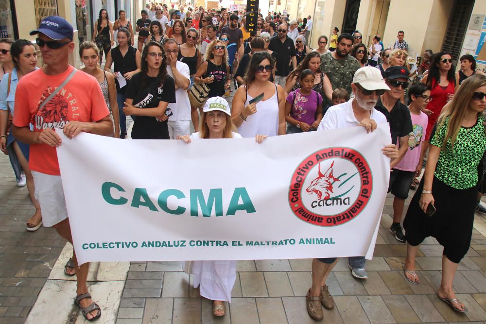 Centenares de personas se unen en Málaga contra la tauromaquia