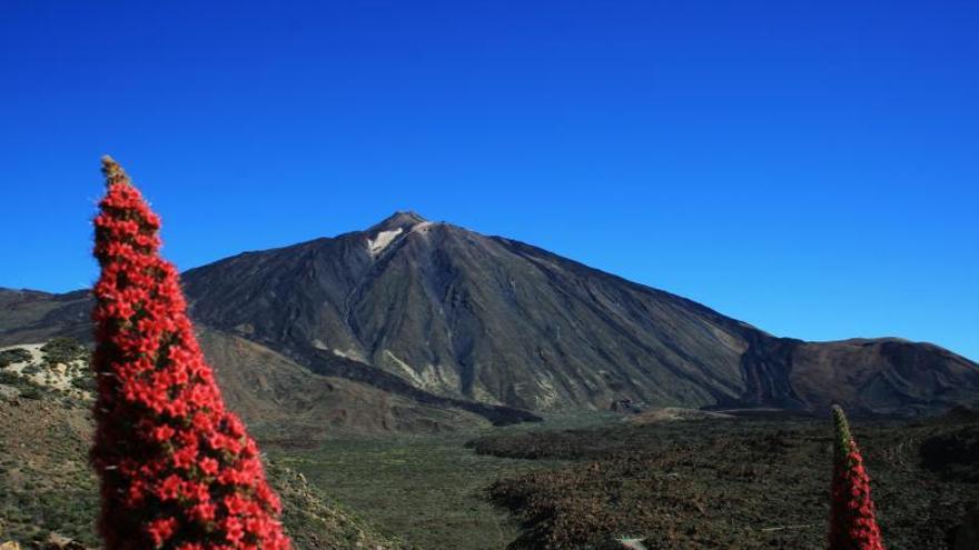 «Guguy e Inagua serán las banderas del modelo turístico de La Aldea» | LP/DLP