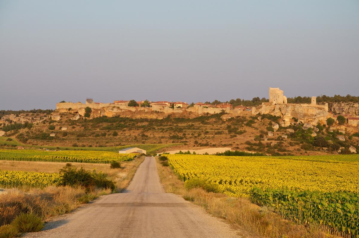 'Campos de Castilla' es una oda al territorio.