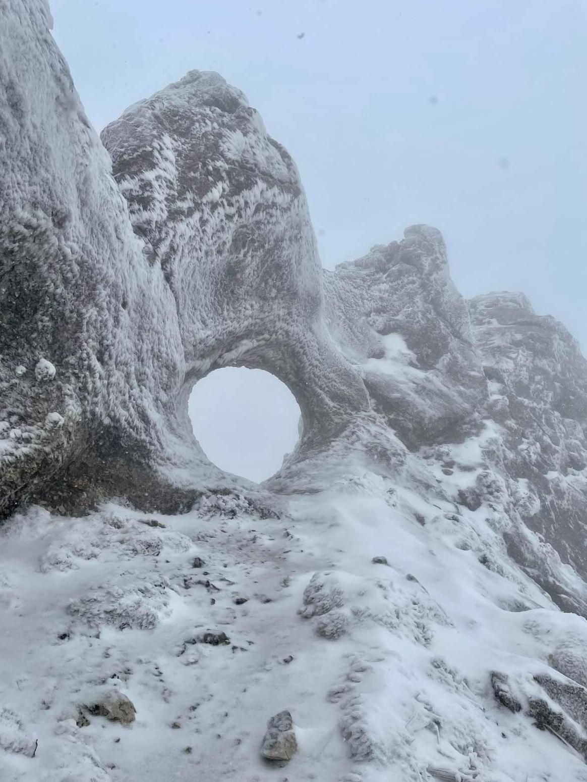 Aspecto que presenta hoy la Forata de la sierra de Aitana.