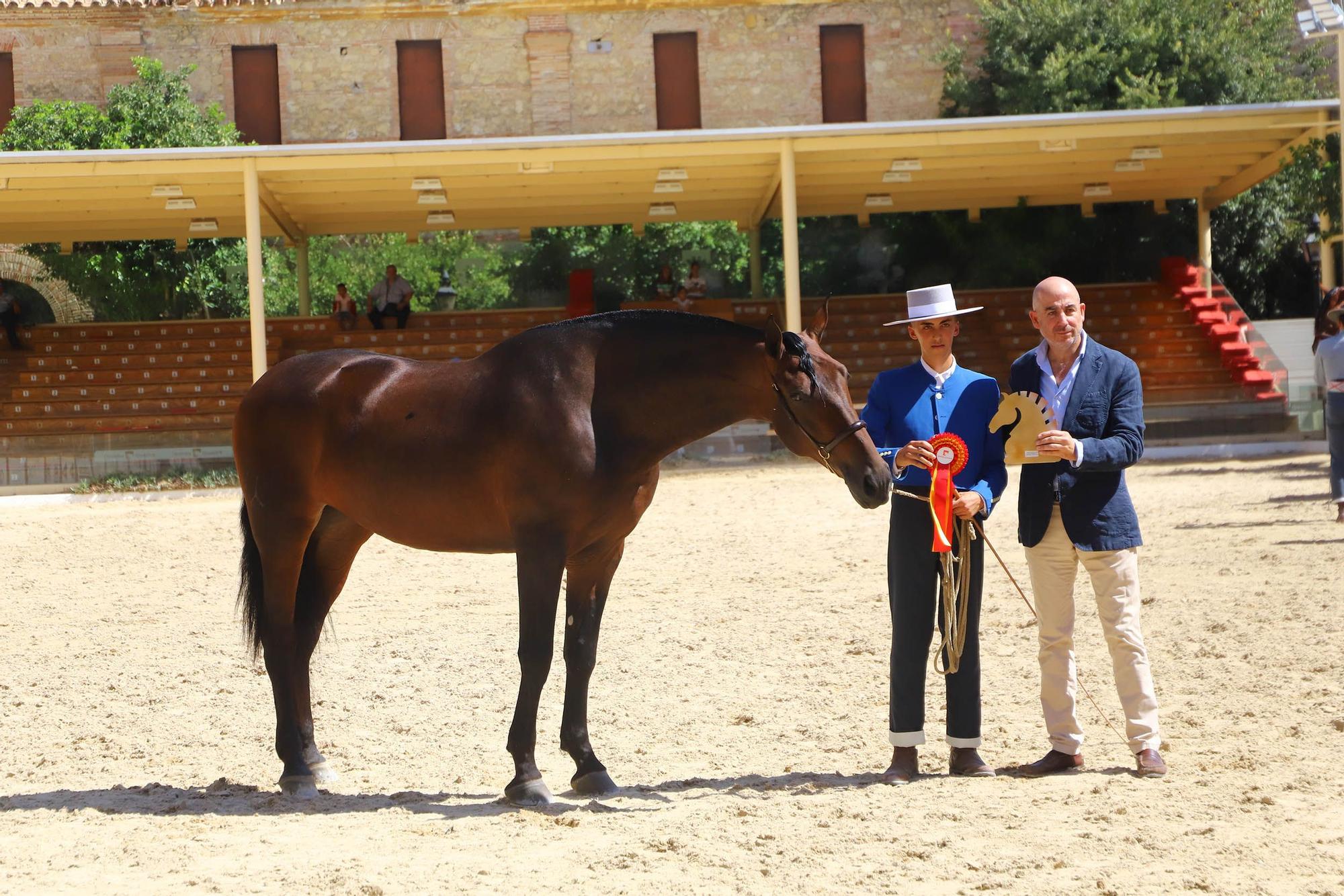 Cabalcor hace entrega de los premios especiales del concurso morfológico