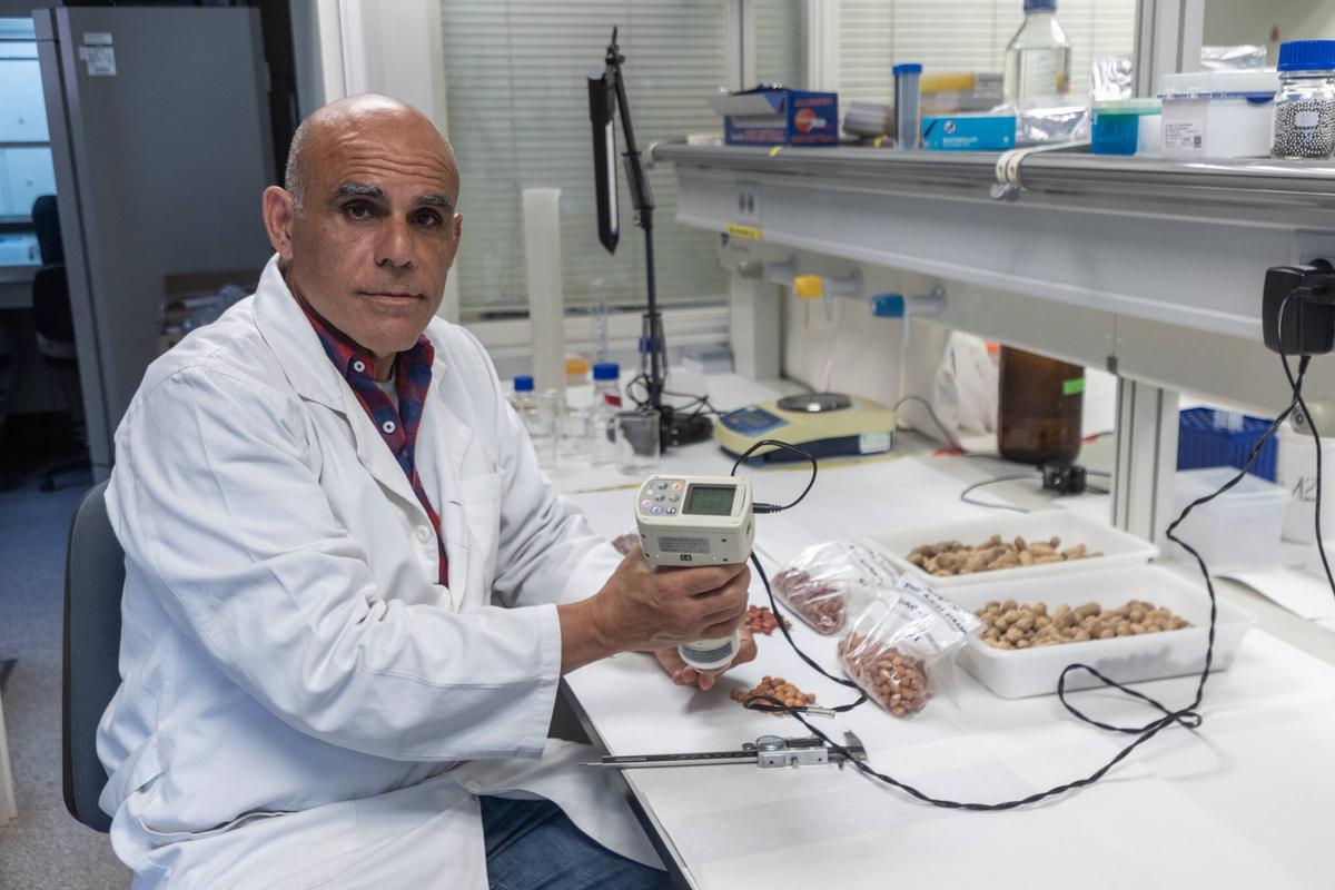Salvador Soler Investigador del COMAV-UPV y experto en el 'cacau del collaret'.