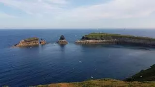 El PP exige al Gobierno en el Senado reinstaurar la vigilancia en les Columbretes