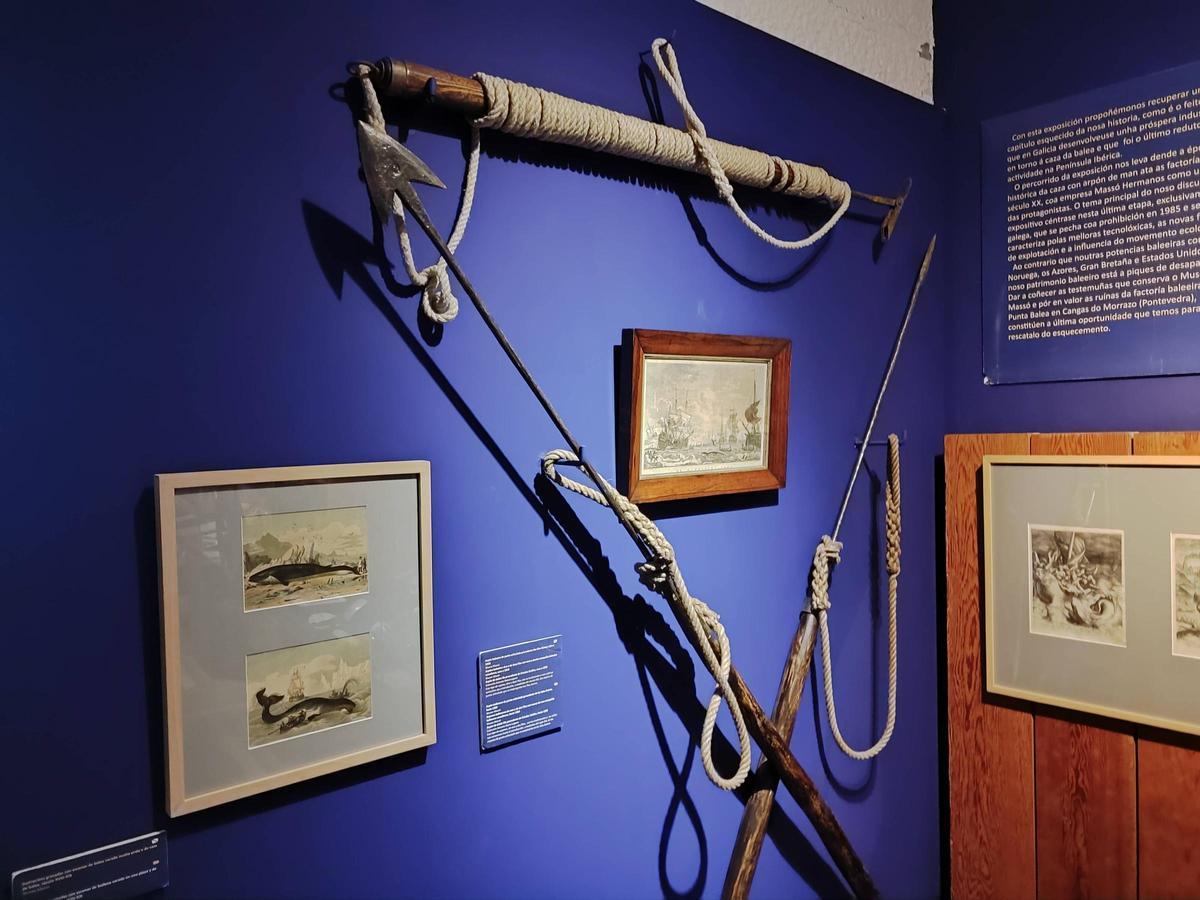 La sala dedicada a la caza de la ballena en el Museo Massó de Bueu