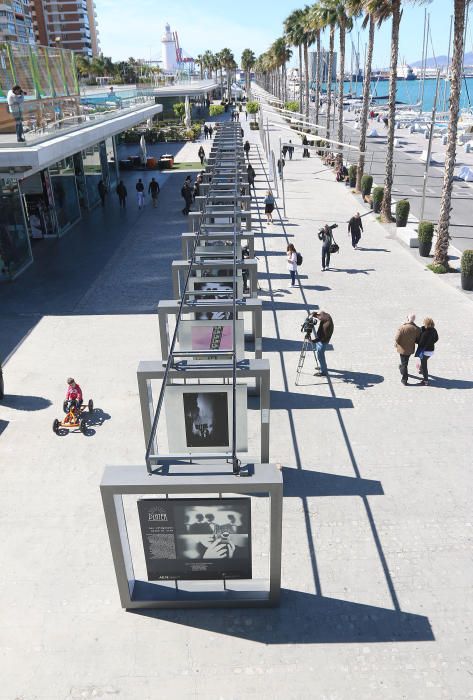 La muestra reúne las fotografías de 40 artistas españoles en el Muelle Uno, junto al Centre Pompidou Málaga