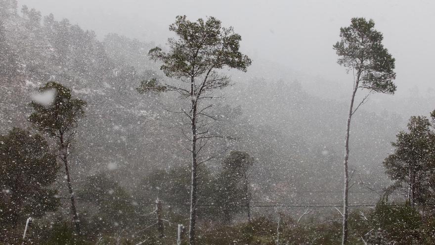 Todas las imágenes de la nieve por la borrasca &#039;Juliette&#039; en Ibiza