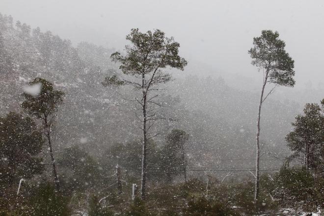 Todas las imágenes de la nieve por la borrasca 'Juliette' en Ibiza