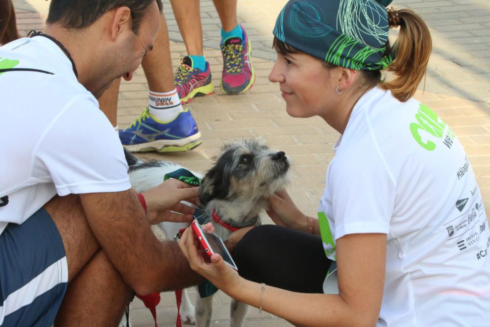 El Parque Huelin ha acogido la primera edición de un evento destinado a las mascotas y a sus dueños, con carreras en diversas categorías, actividades gratuitas y numerosos stands