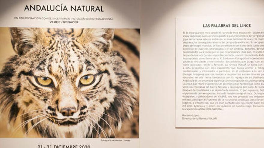 Andalucía y la revista VIAJAR te invitan a la exposición fotográfica &#039;Andalucía natural&#039;.