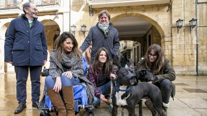 El ayuntamiento de Oviedo inicia una campaña para controlar los microchips de los perros