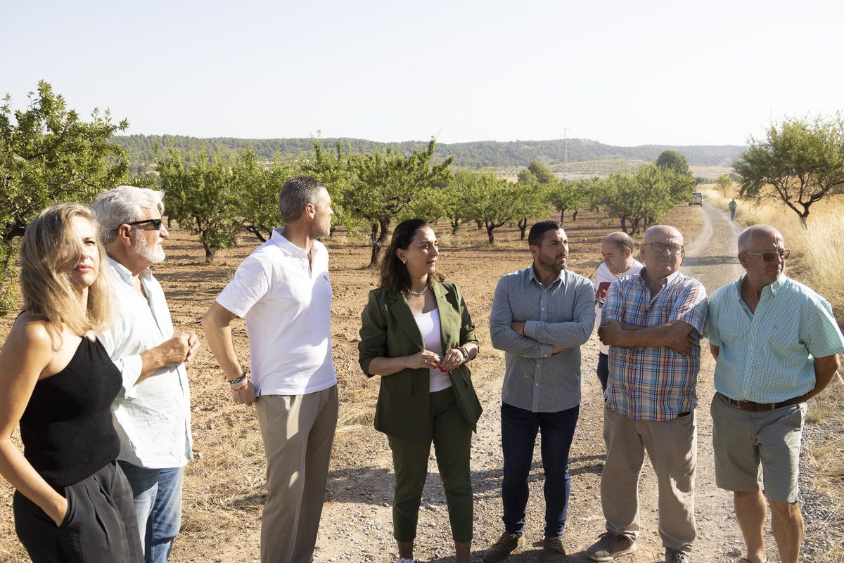 Ayudas para paliar los almendros afectados por la sequía