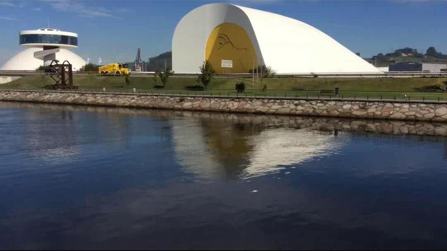 El hallazgo de peces muertos dispara por segunda vez en 48 horas la alarma ambiental en la ría