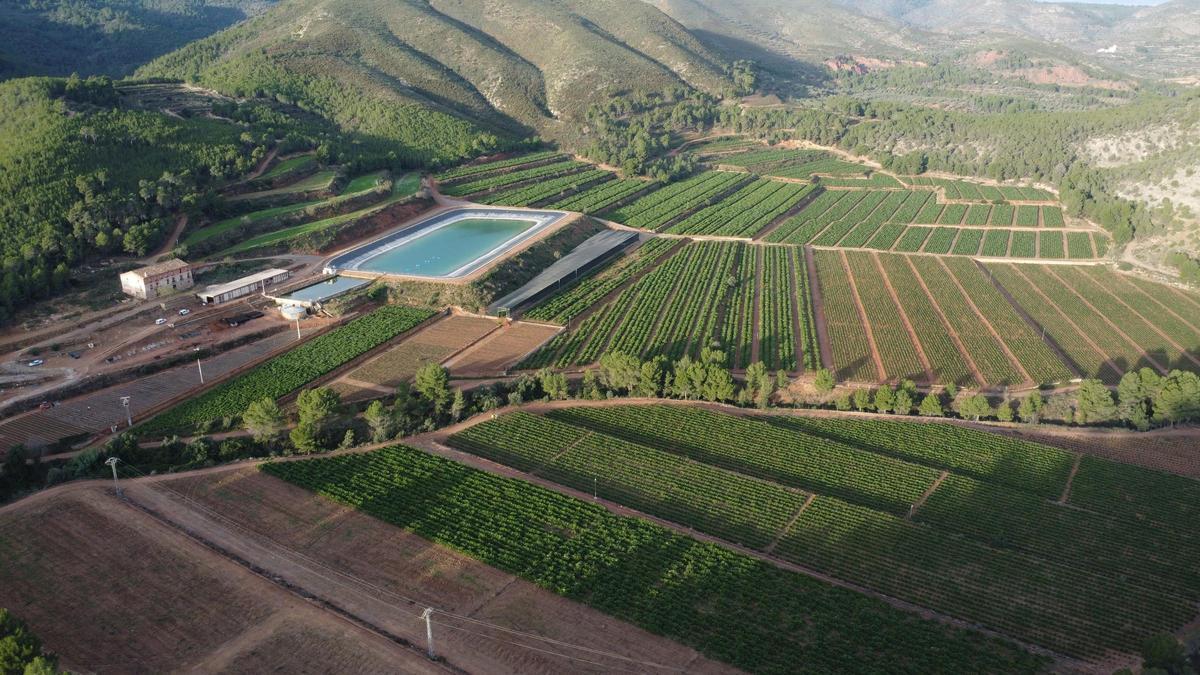 La empresa desarrolla su actividad productiva sobre más de 400 hectáreas de terreno, entre fincas propias y arrendadas.