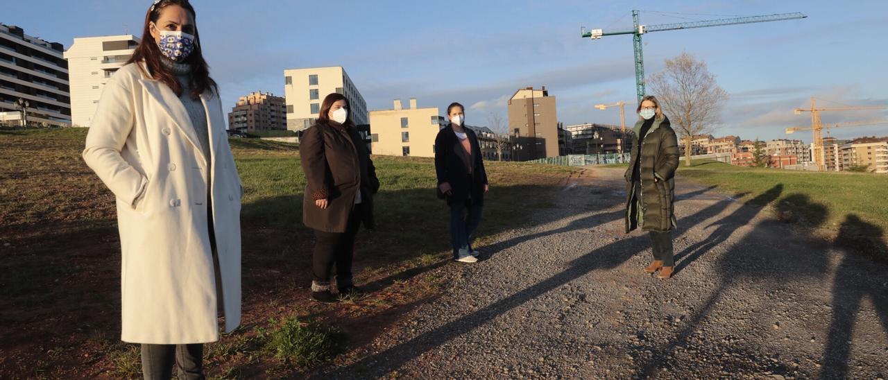 Representantes del AMPA del CPEE de Latores, en la parcela de Montecerrao.