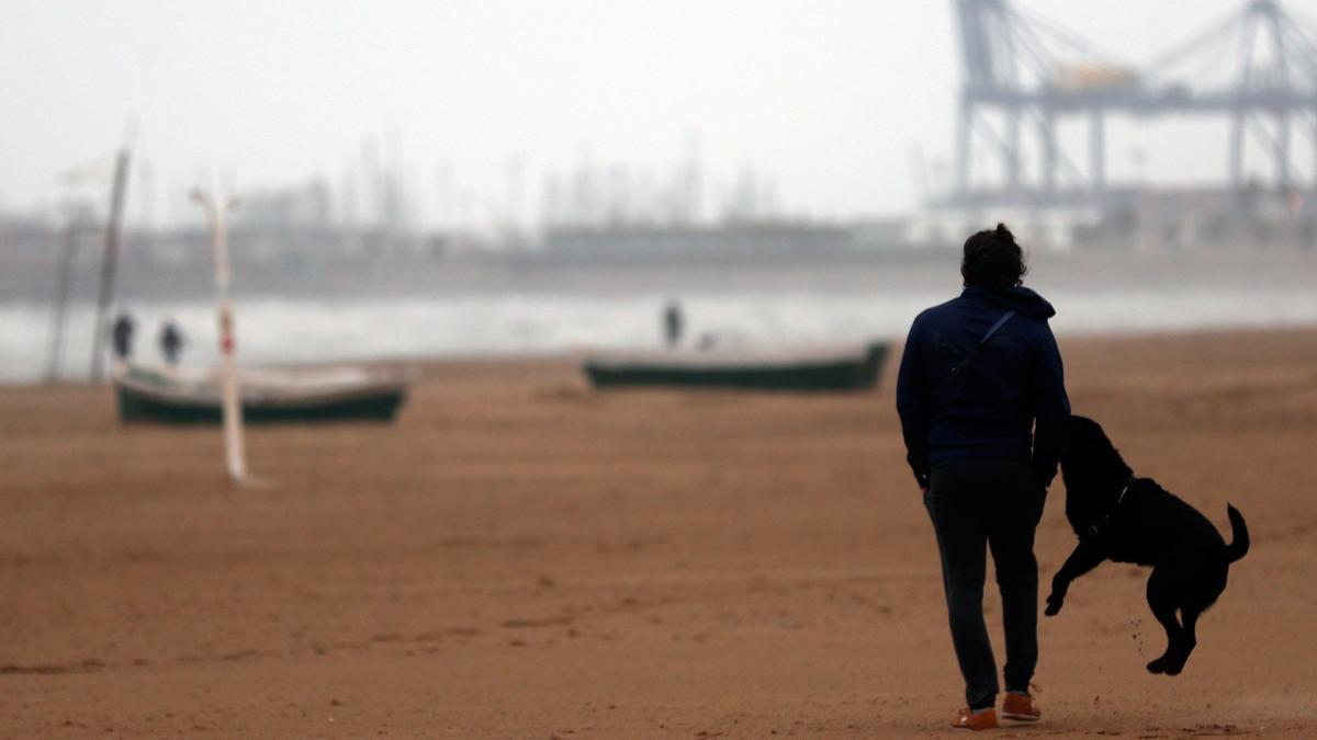 El tiempo en Valencia para mañana aún anuncia lluvia en forma de barro y temperaturas más bajas, según la previsión de la Aemet.