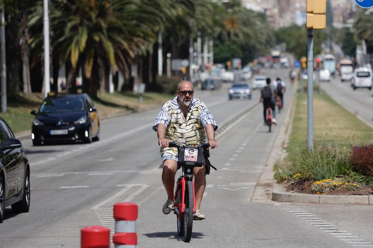 Un usuario del Bicing baja por el vial ciclista de la calle de la Marina