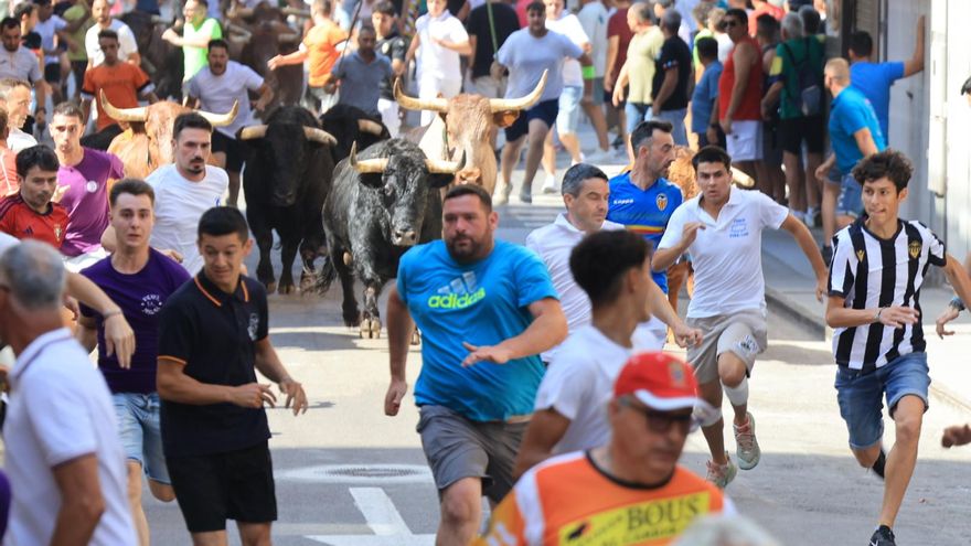 Un vibrante encierro y la prueba de toros cerriles inauguran la programación taurina de Sant Pere