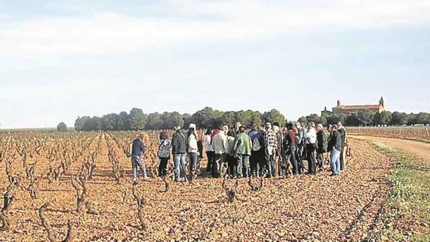 La Ruta del Vino sigue dándose a conocer con su presencia en ferias