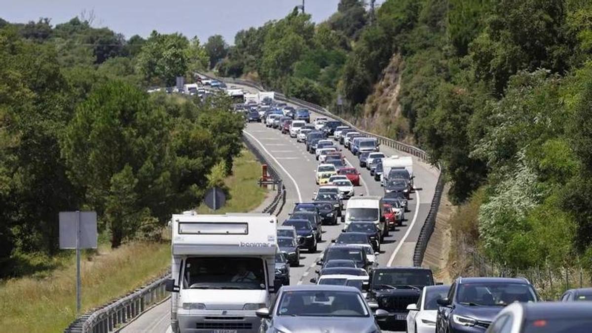Cues a la baixada de l’Alou, entre Llagostera i Santa Cristina d’Aro, a l’inici d’aquest estiu.
