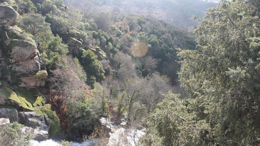 Rescatados 24 niños y 3 monitores tras perderse en una ruta senderista en La Vera