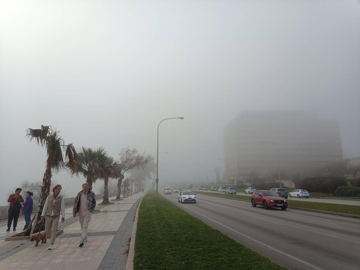 Las imágenes de la niebla en Mallorca