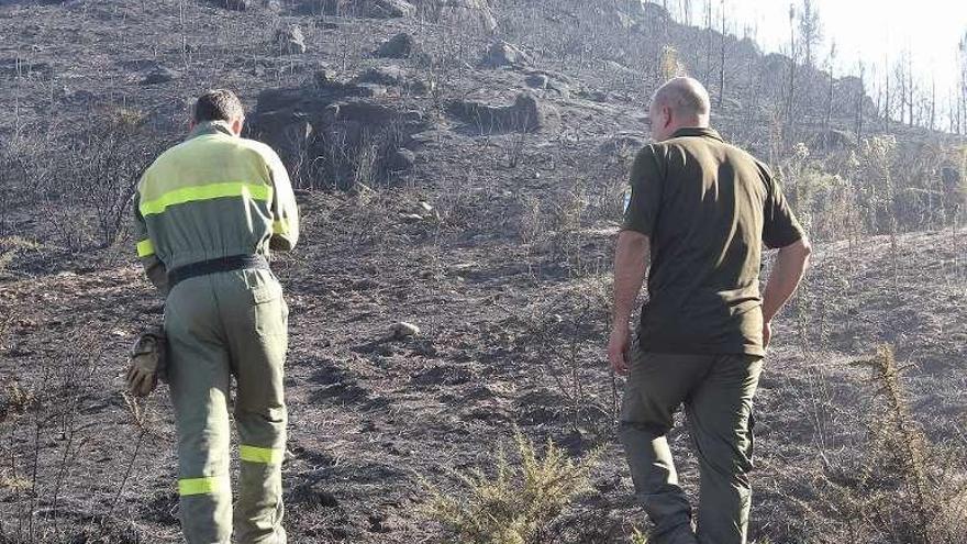 Brigadistas, controlando una zona quemada próxima a Ourense. // I.O.