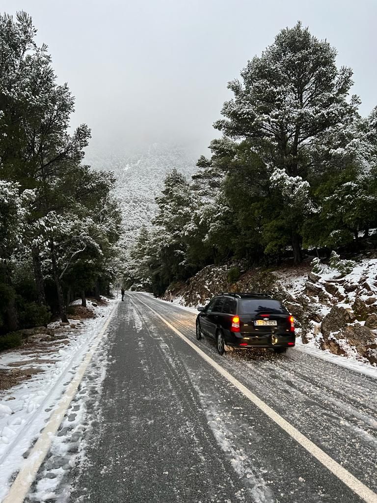 Mallorca registra la mayor nevada en cinco años