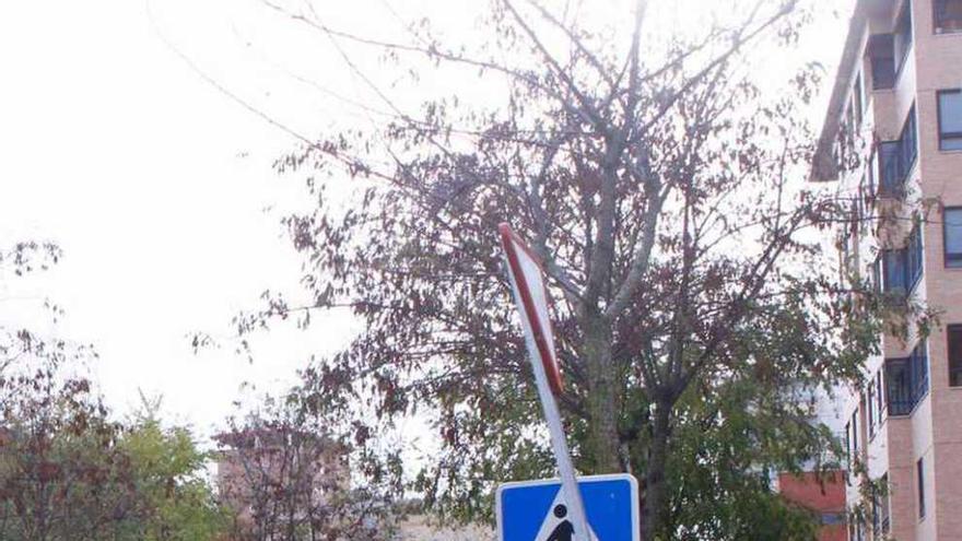 Un peatón cruza en un paso de la avenida Príncipe de Asturias.