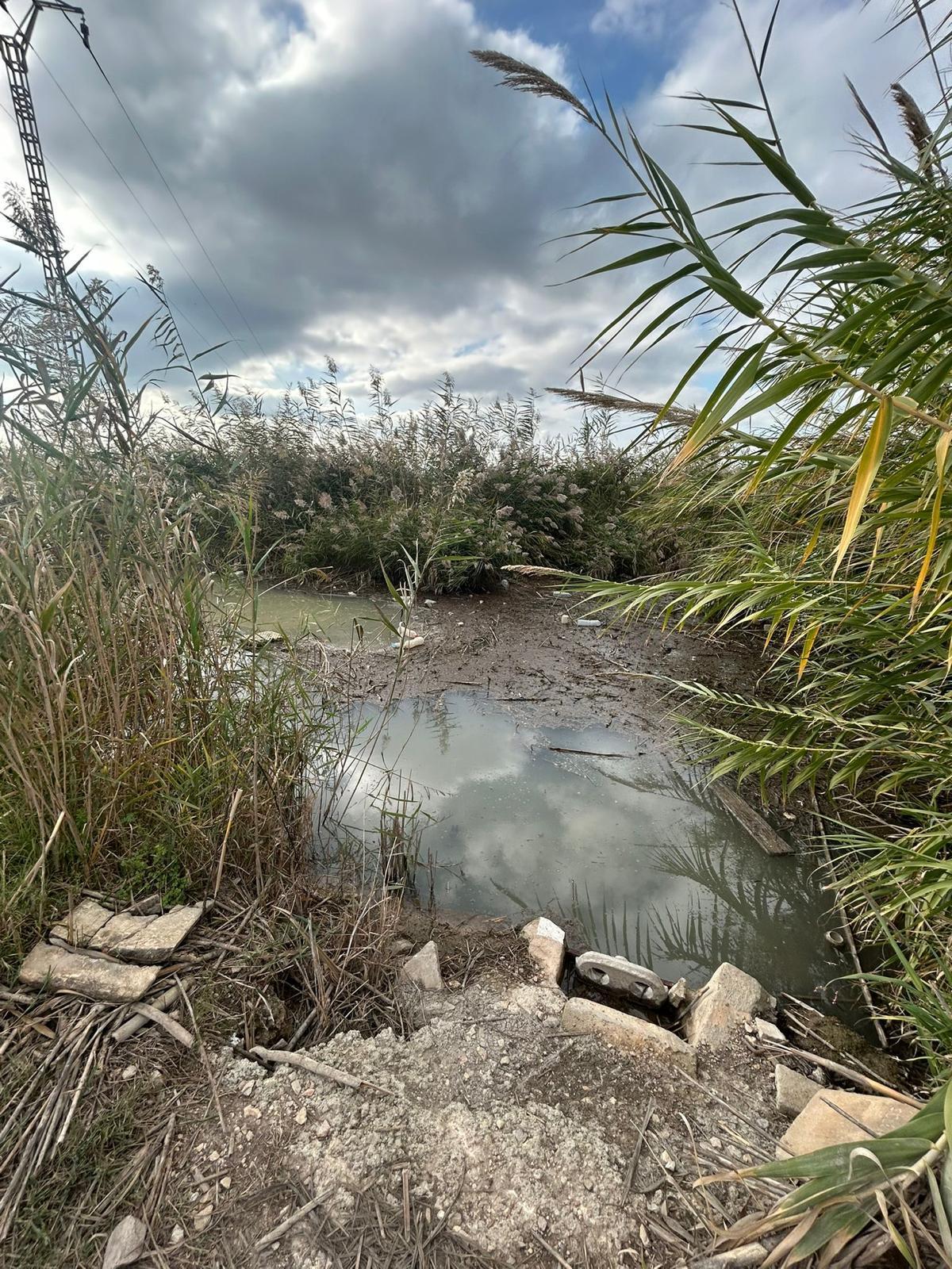Estado de l'Albufera