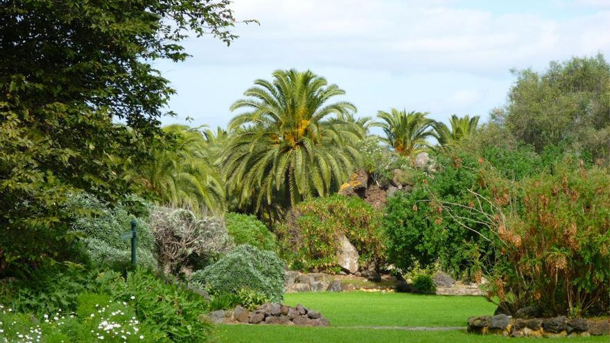 El jardín botánico más grande de España está en Canarias: naturaleza y especies únicas