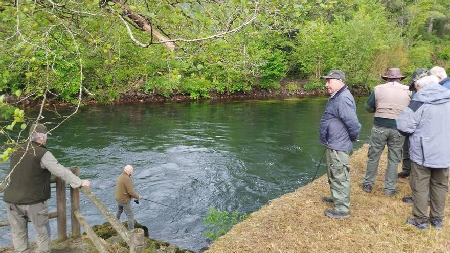 Incertidumbre con el campanu: el Principado ya plantea vedar la especie en 2027 sin concretar qué pasará con la pesca del primer ejemplar de la temporada