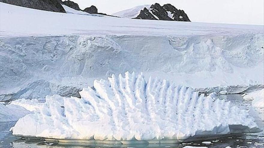 El deshielo de la Antártida elevó el nivel del mar 7,6 mm en 15 años