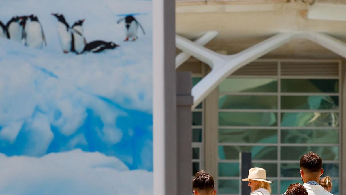 Turistas con un cartel de frío polar en la Ciudad de las Artes y las Ciencias en plena ola de calor