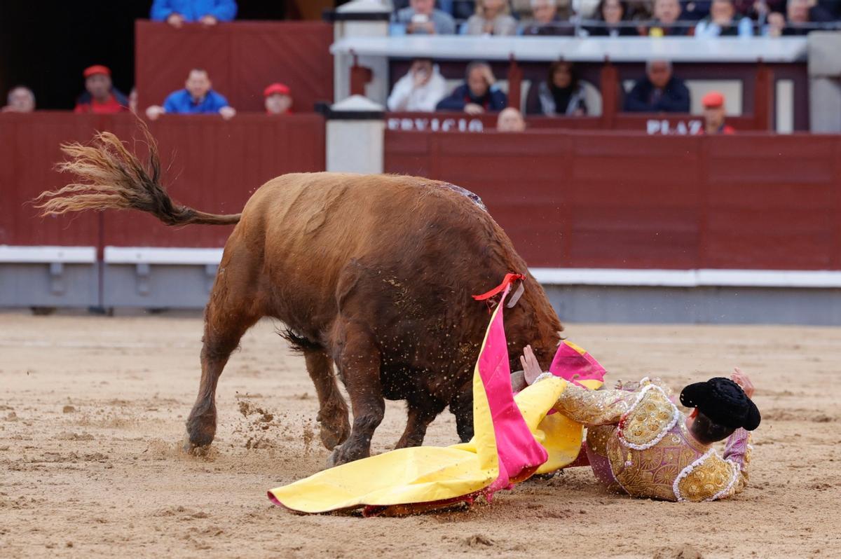 Cogida a David Galván en el ruedo de Las Ventas.