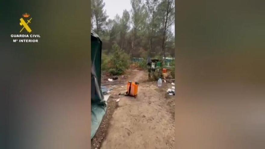 La Guardia Civil desmantela una plantación de 220 kilos de marihuana en un monte de Huesca: hay cuatro detenidos
