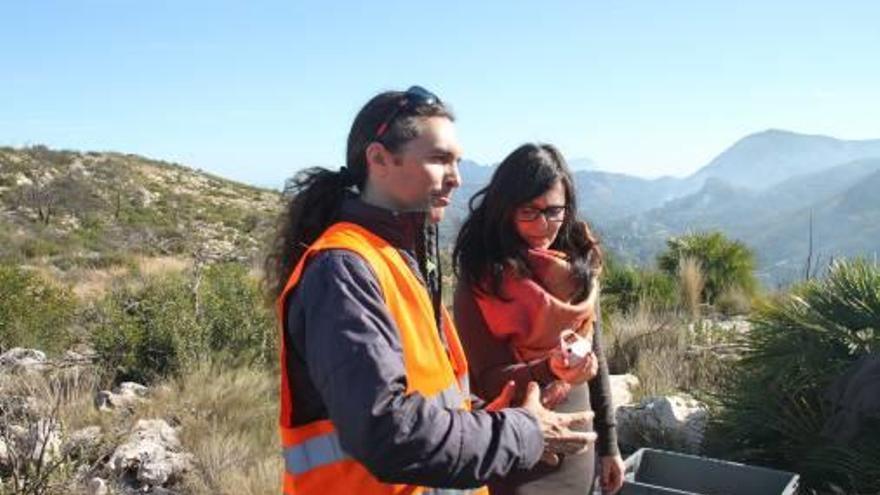 La concejala de Pego Laura Castellà visita los trabajos.