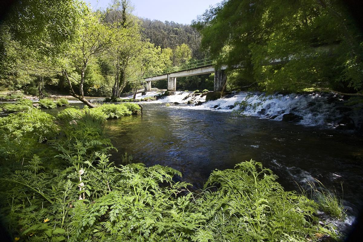 Río y paisaje de Betanzos.