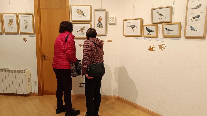 &quot;Aves de tu entorno&quot;: así es la exposición de Isabel González en Posada de Llanera