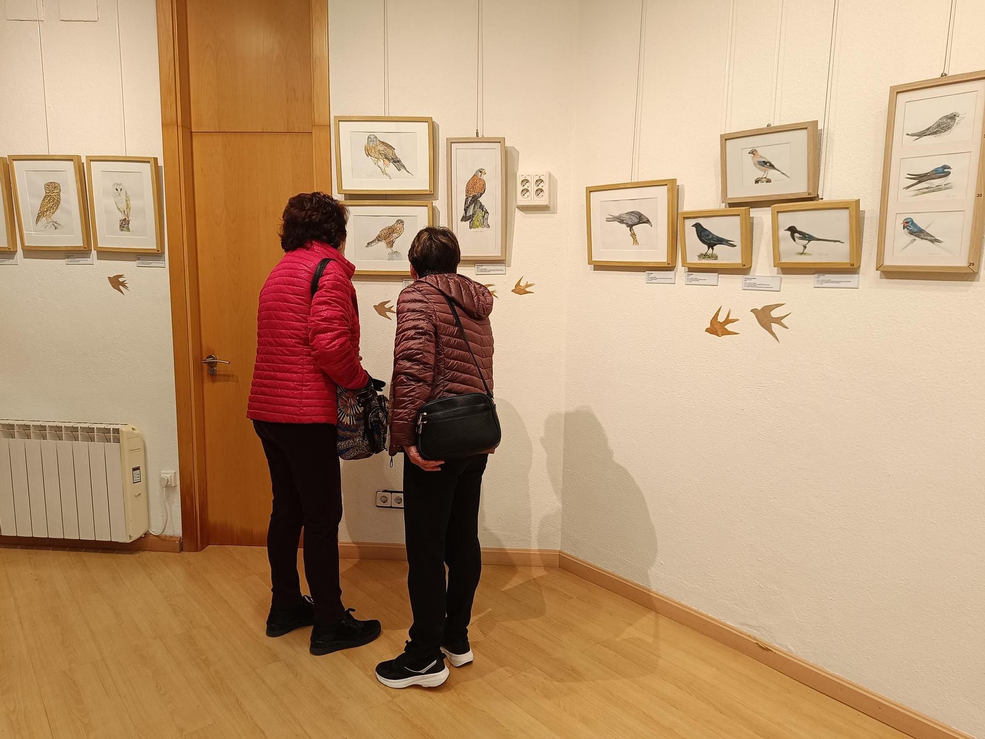 "Aves de tu entorno", la exposición de Isabel González en Posada de Llanera