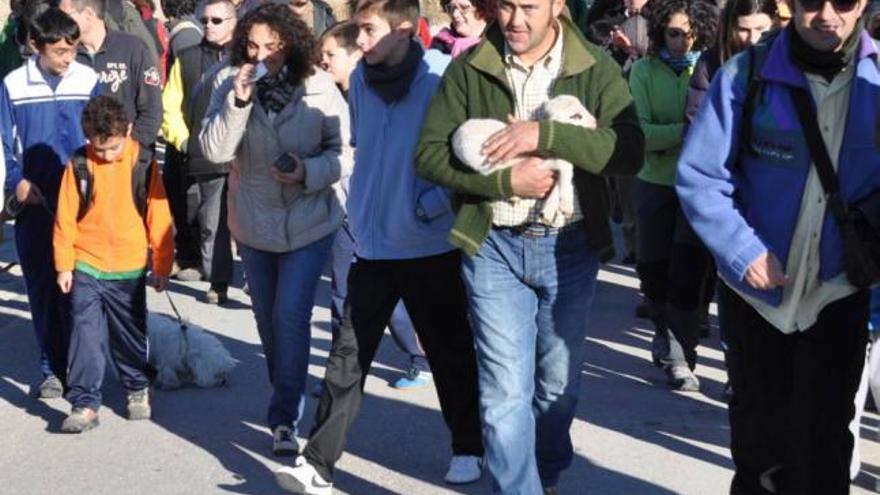 Las vías pecuarias tienen uno de sus mayores exponentes, dentro de la Región de Murcia, en el municipio de Abarán, con dieciocho vías pecuarias y dos descansaderos.